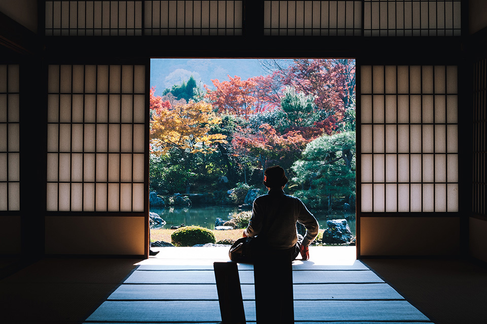 Japan Travel Guide
